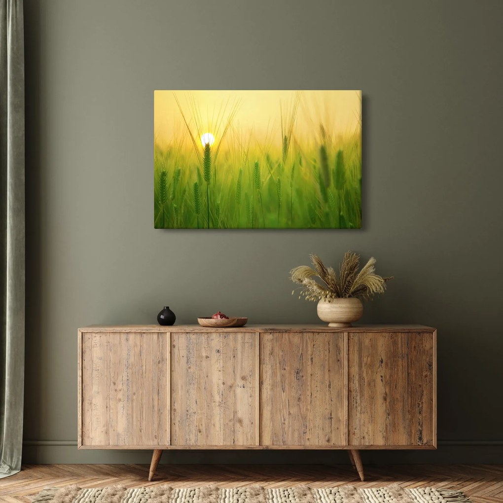 Kép - Mező gabonával (90x60 cm)