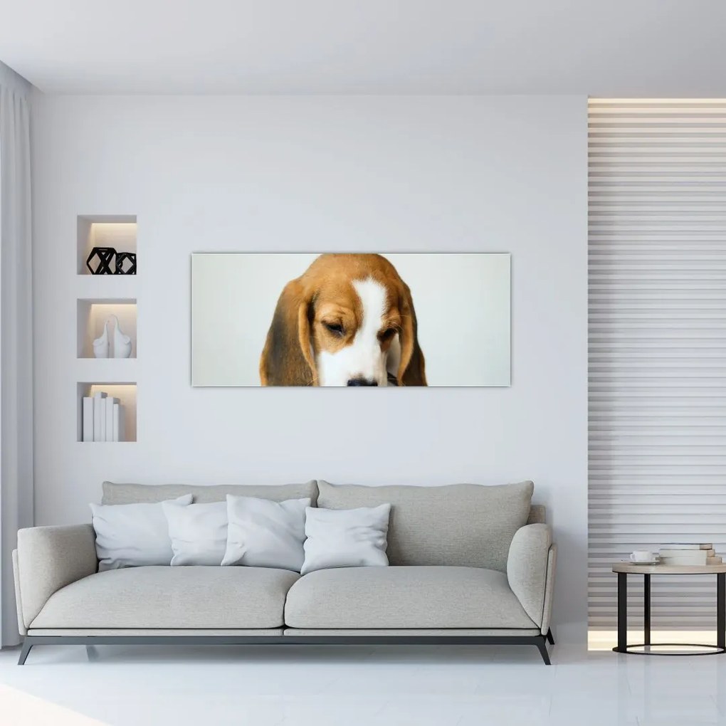 Beagle képe (120x50 cm)