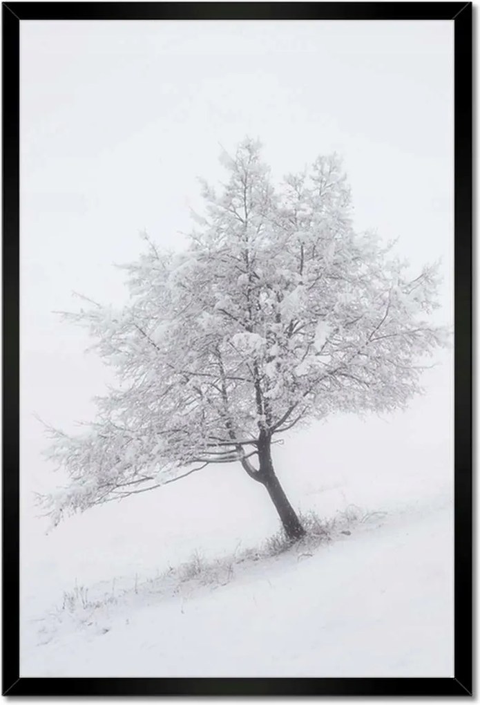 Poszterek keretben 40x60 Fa Kilátás