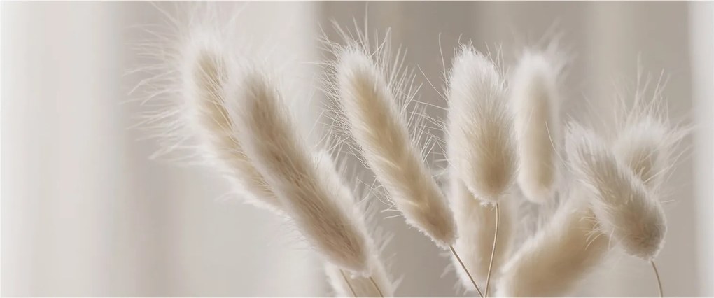 Kép - Nyúl farok (120x50 cm)
