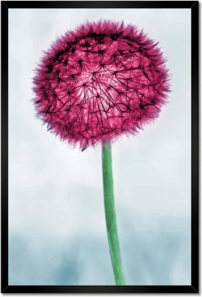 Poszterek keretben 40x60 Pitypangok