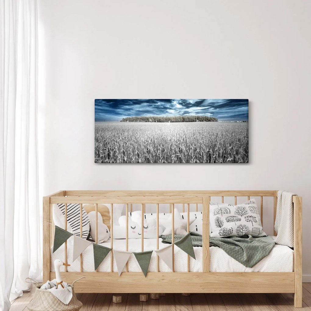 A mező képe (120x50 cm)