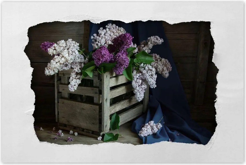 Poszterek 120x80 Doboz nélkül