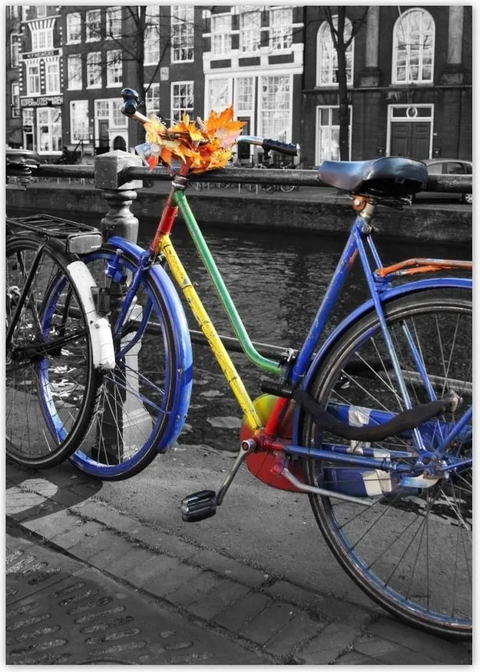 Poszterek A4 Pion Őszi levelek