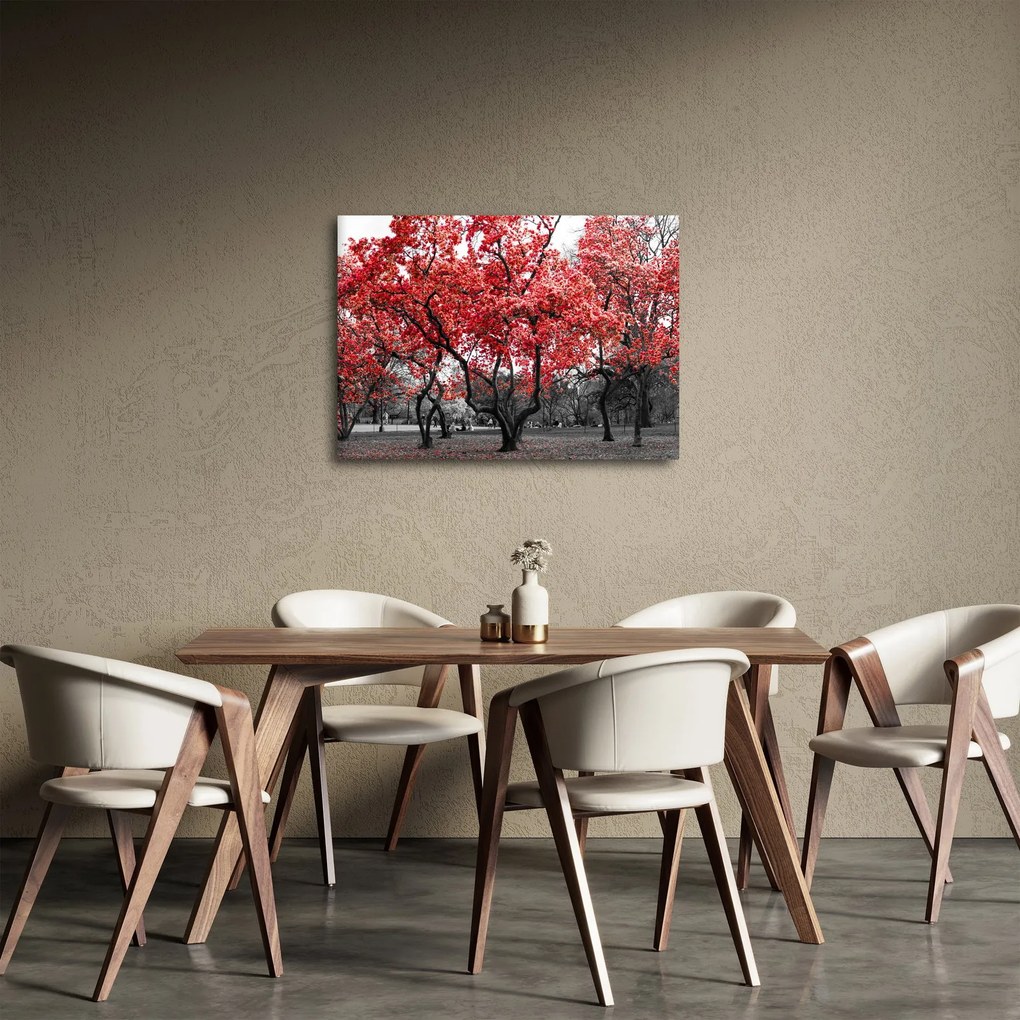 Kép - vörös fák, Central Park, New York (70x50 cm)