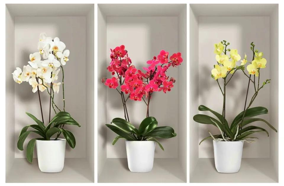 Orchids 3 db-os 3D falmatrica szett - Ambiance