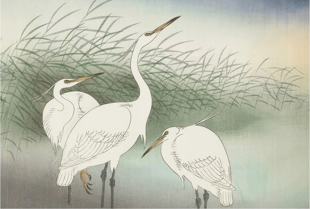 Fotótapéta Flizelin Fali ragasztó szett Fűben 104x70 Ragasztó