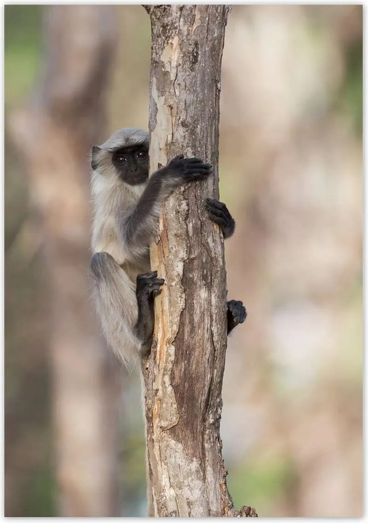 Poszterek 70x100 Pihenés a természetben