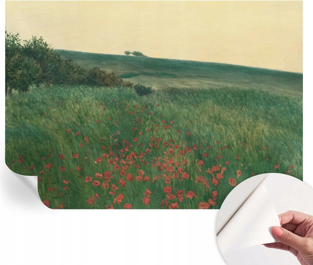 Dekoratív öntapadós fotótapéta Hálószobába Pipacs mezők 208x146 cm