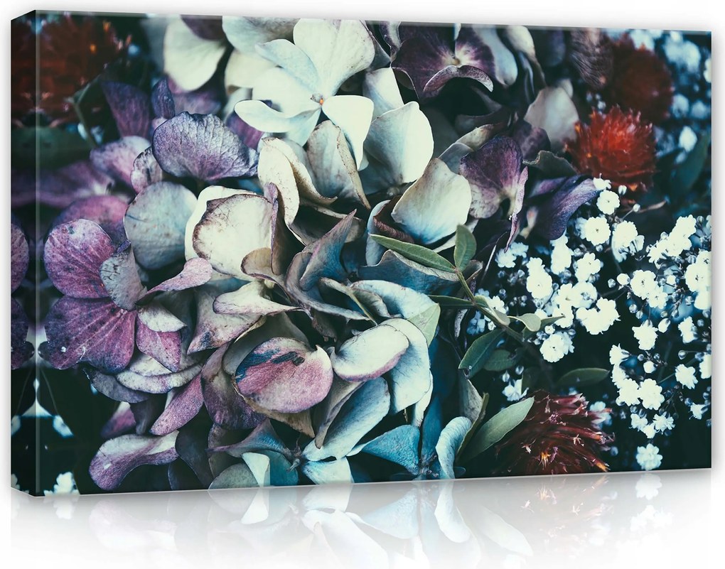 Vászonkép 60x40 Virágok Hortenzia Ősz Makro Természet Pasztell Nyugalom