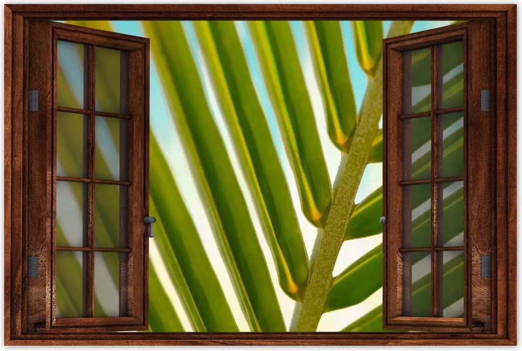 Poszterek 90x60 Pálmalevél Levél