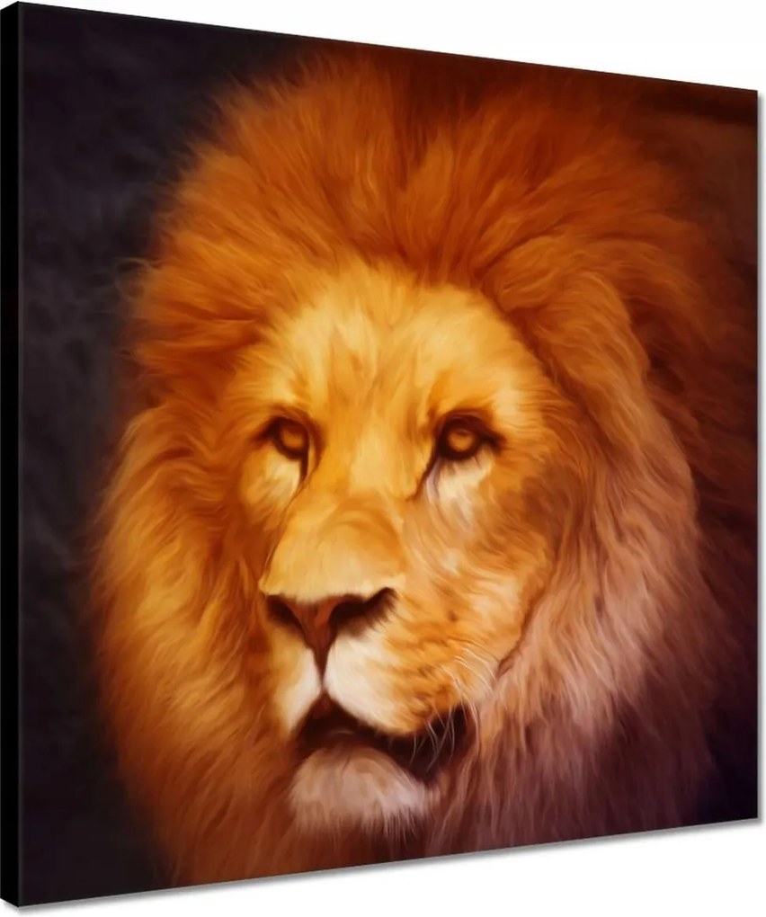 Vászonkép 40x40 Oroszlánkirály