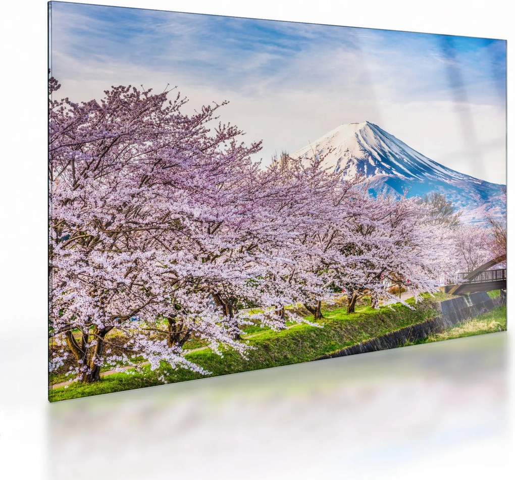 Üveg kép - Japán tavasszal (70x50 cm)