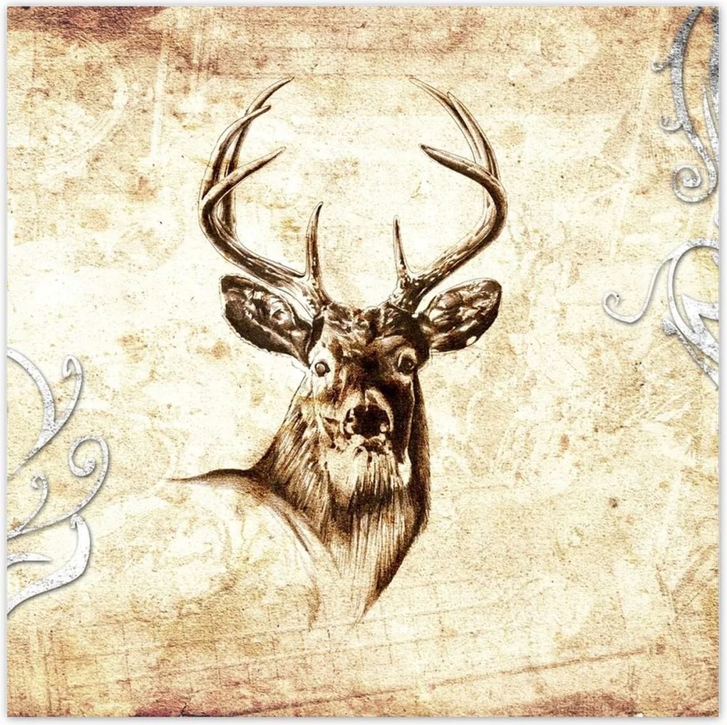 Poszterek 100x100 Szarvasfej