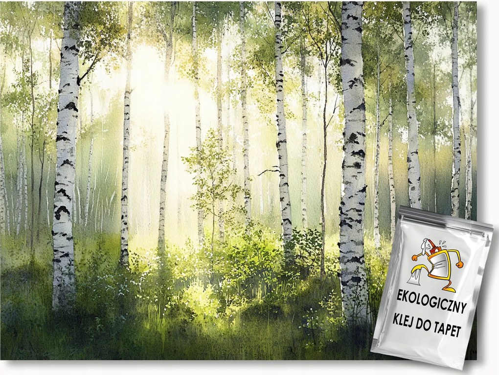 Fotótapéta Flizelina Tájkép Erdő Park Ligetező Fa Nyírfa 416x290 ragasztó