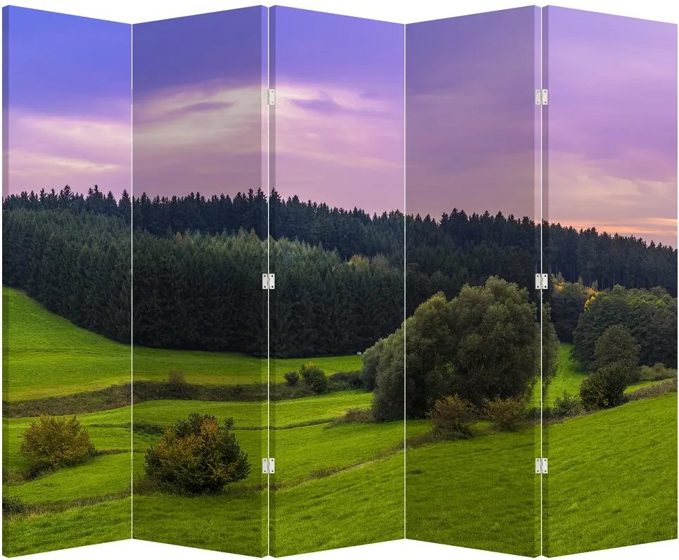 Paraván - Rét (210x170 cm)