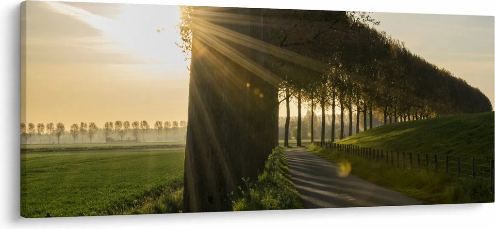 Fasor képe (120x50 cm)