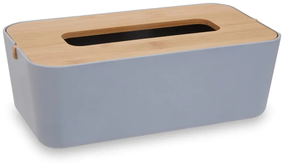 Műanyag zsebkendőtartó Canyon – Premier Housewares