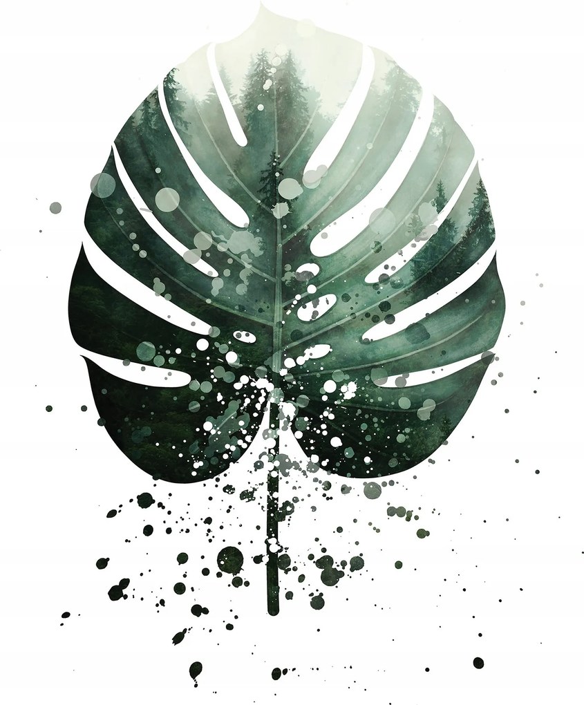 Monstera tapéta Köd erdő Vinyl 184x254 Stílus Természet beltéri +ragasztó