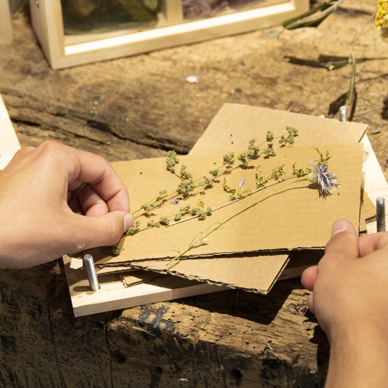 Virág és gyógynövény prés, lecsavarozható