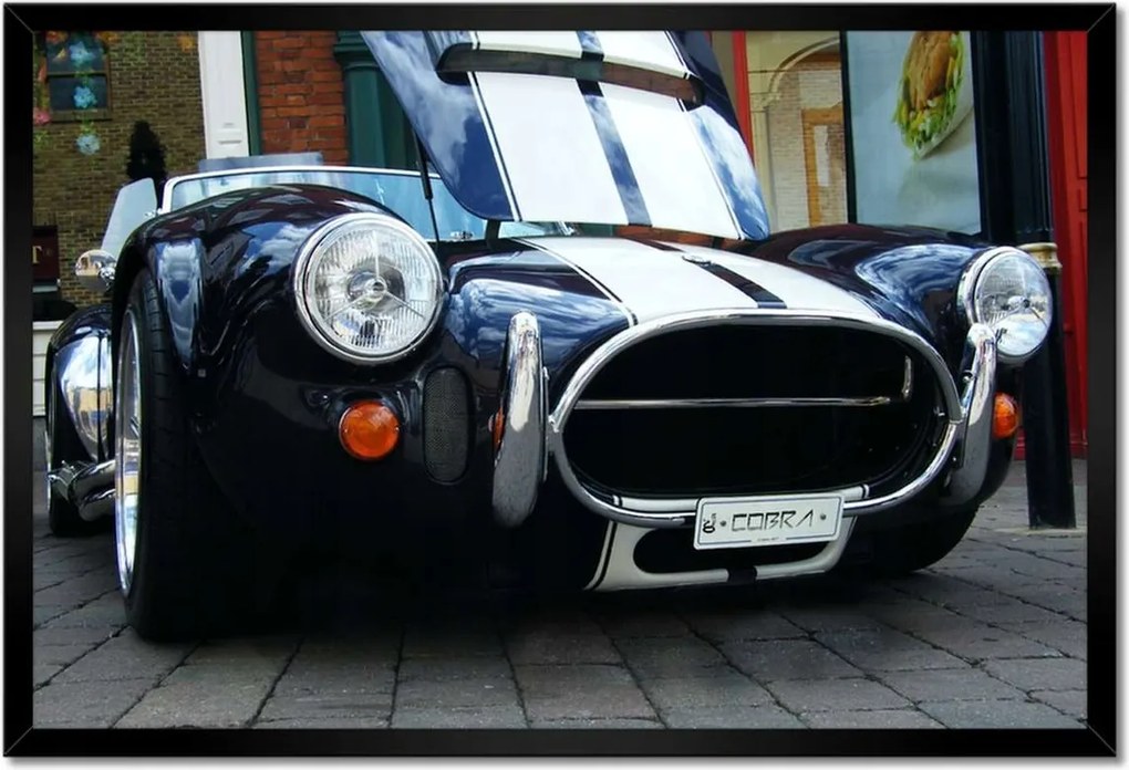 Poszterek keretben 60x40 Cobra 427