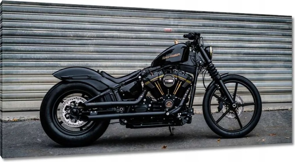 Képek 115x55 Harley Davidson Motorkerékpár