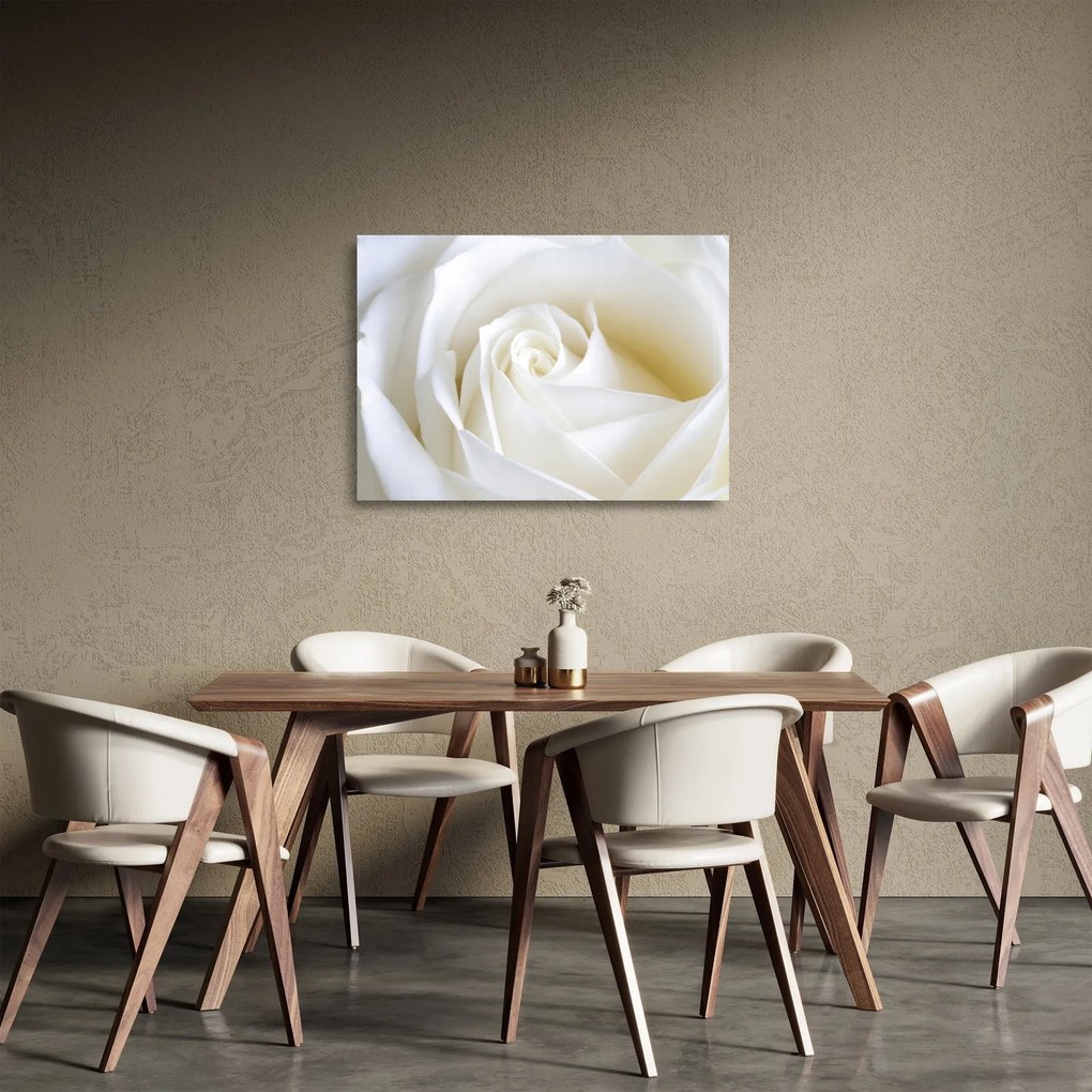 Egy fehér rózsa képe (üvegen) (70x50 cm)