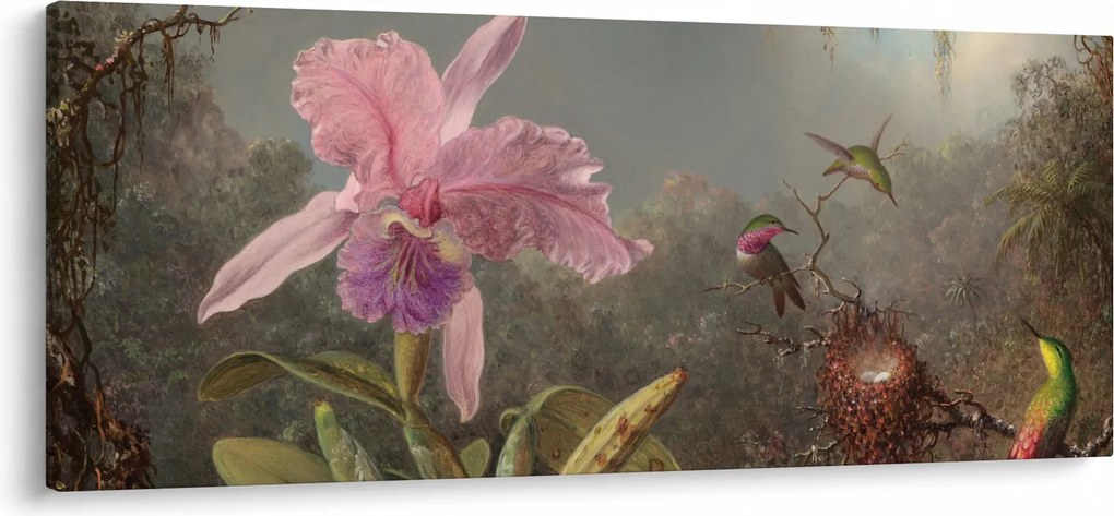 Kép - Martin Johnson Heade, Cattleya Orchid and Three Hummingbirds, reprodukciók (120x50 cm)