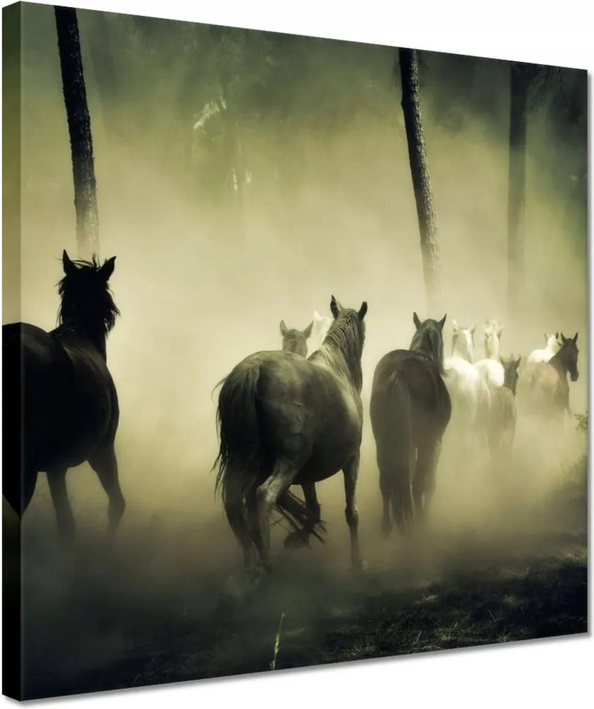 Vászonkép 30x30 Vadlovak Lovak Galopp