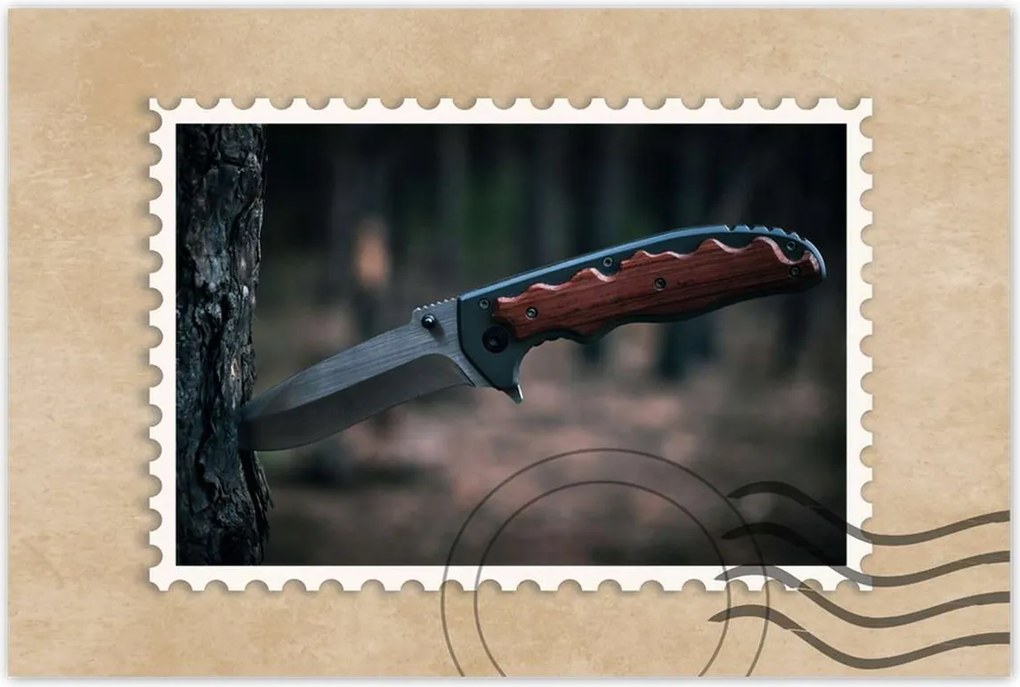 Poszterek 90x60 Fa kéregbe szúrt kés