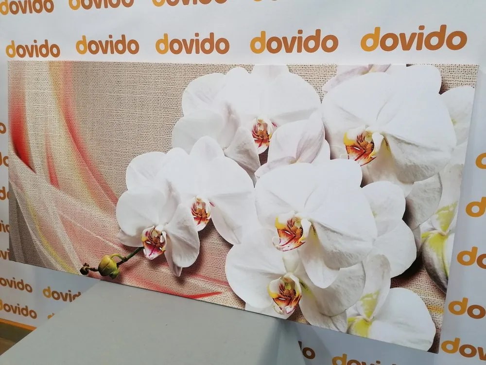 Kép fehér orchidea vásznon