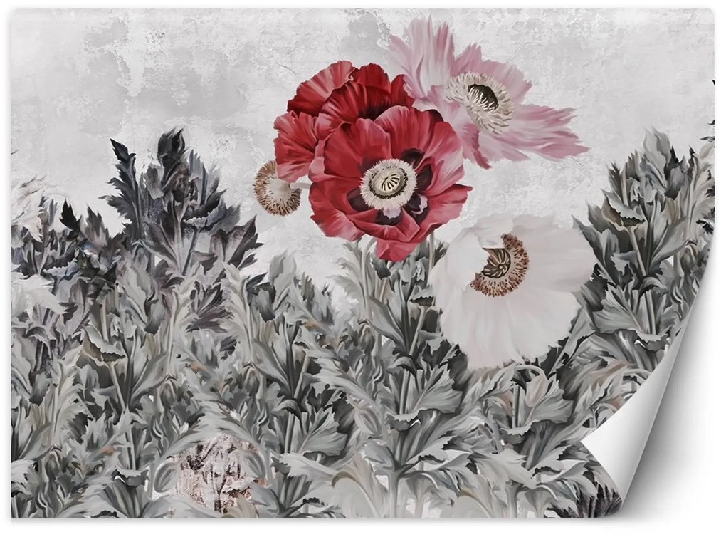 Gario Fotótapéta Festett piros pipacsok a kertben Anyag: Vlies, Méret: 150 x 105 cm