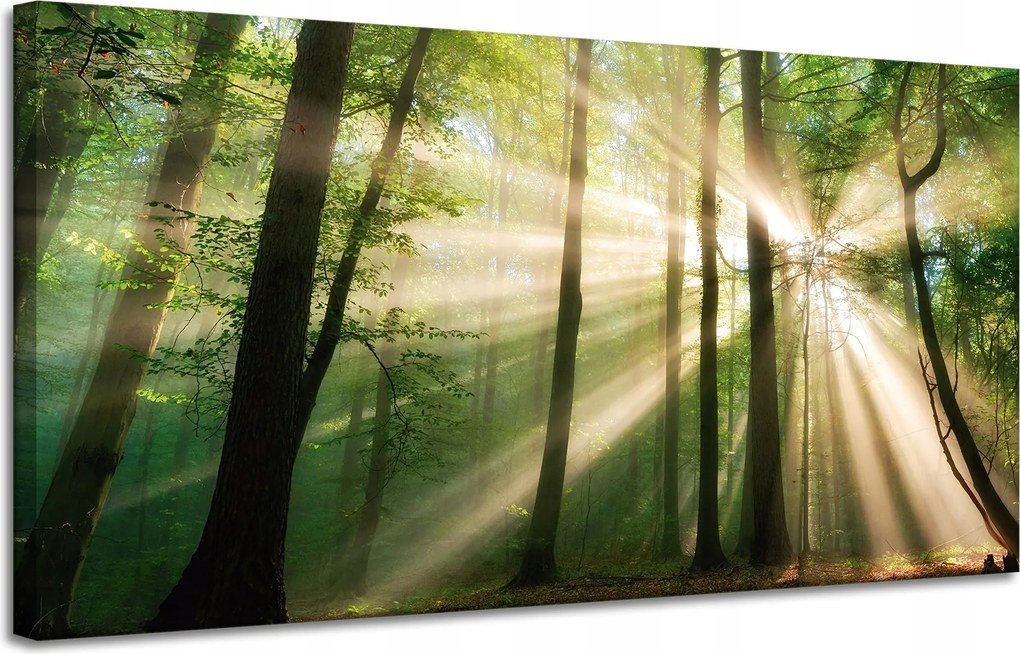 Vászonkép Nap az erdőben Fák Természet 120x60 cm Ideális ajándék