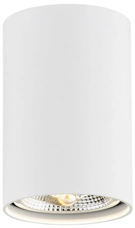 Argon 4910 - Spotlámpa TUBO AR111 1xGU10/15W/230V fehér