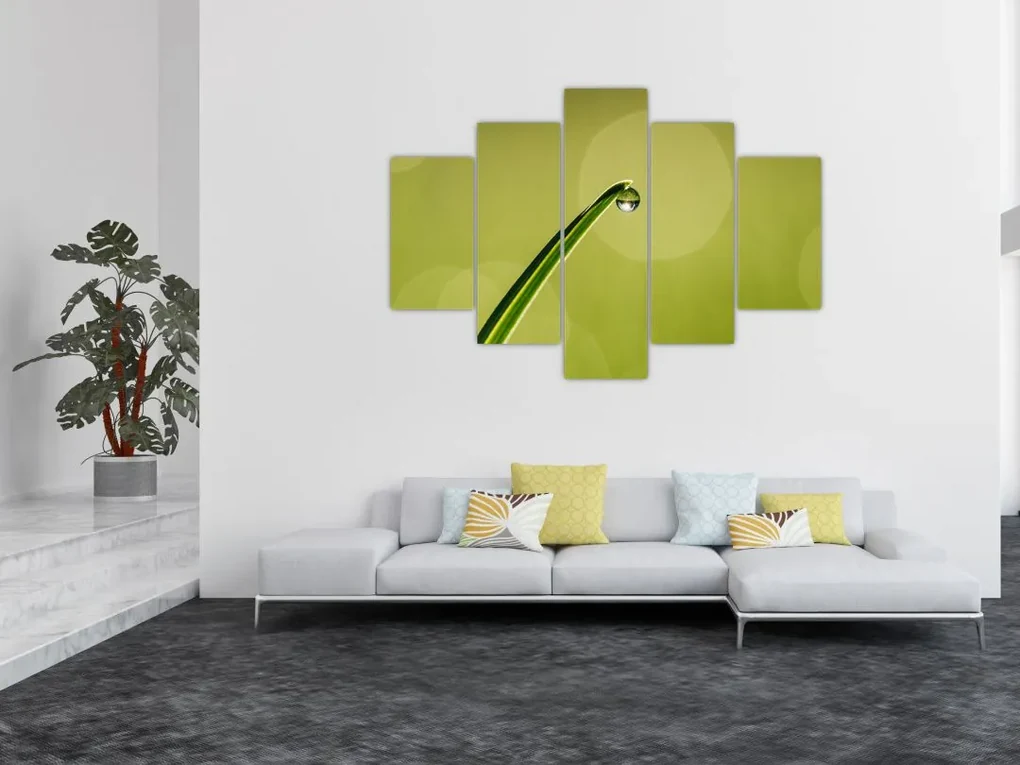 Víz csepp a fűben képe (150x105 cm)