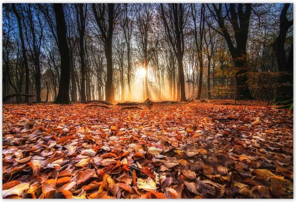 Poszterek 200x135 Őszi kilátás Tájkép