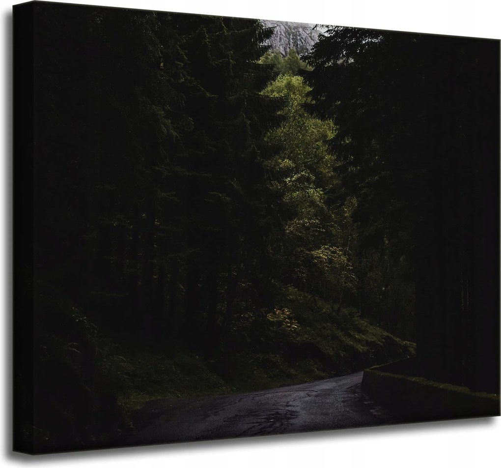 Vászonkép Természet Út Sötétség Félelem 50x40 cm