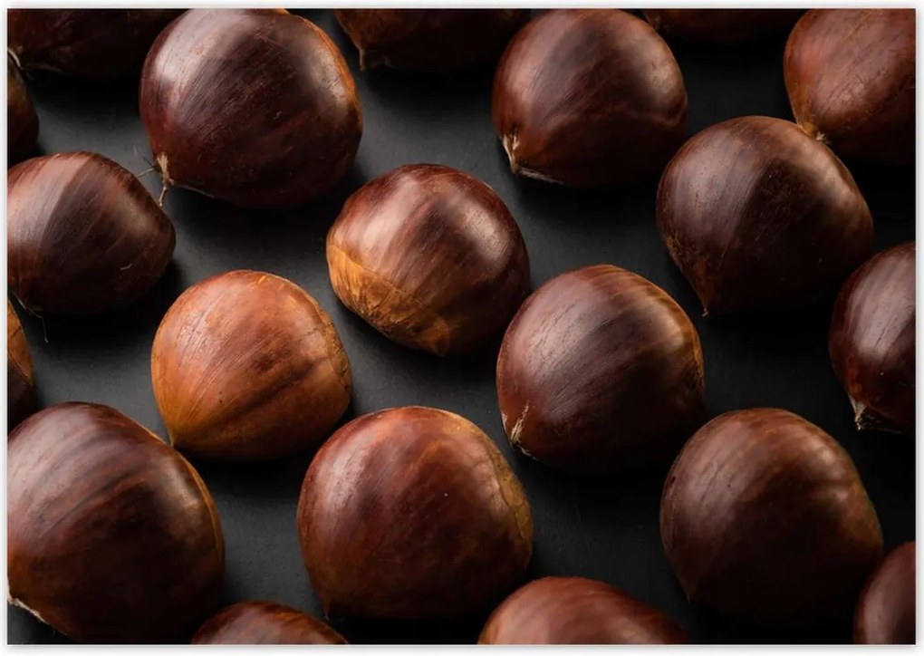 Poszterek 100x70 Kormány Ehető gesztenye