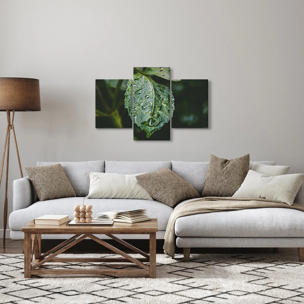 Kép - cseppek a levelen (90x60 cm)
