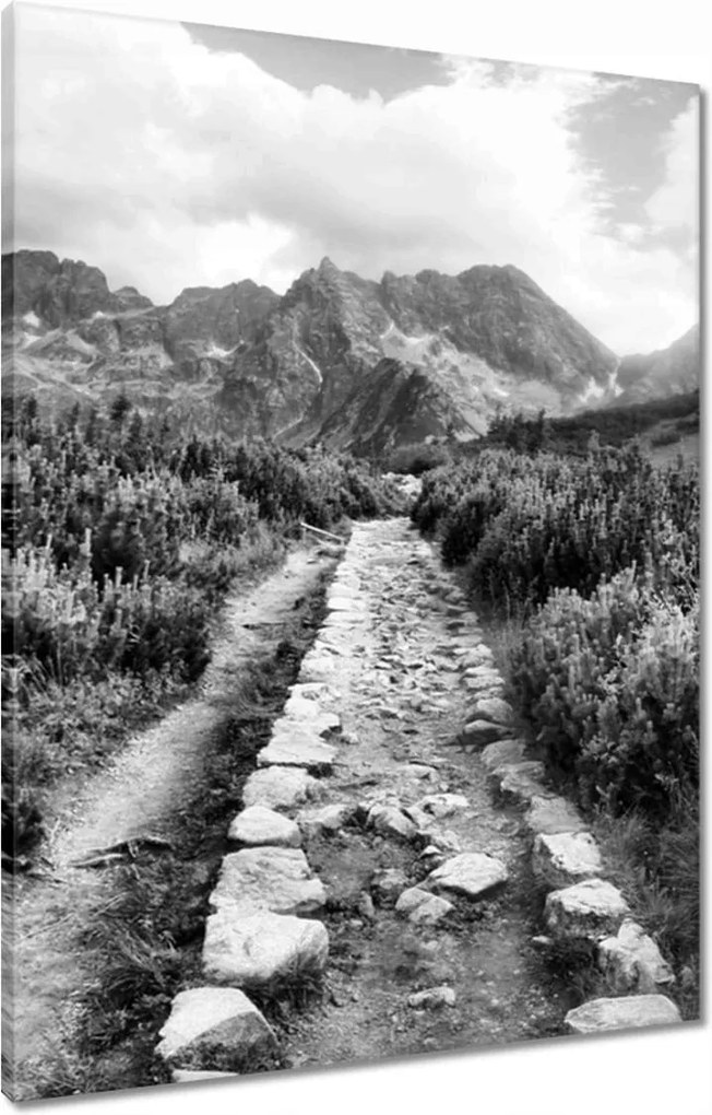 Vászonkép 60x80 Tátra Lengyel hegyek Kilátás