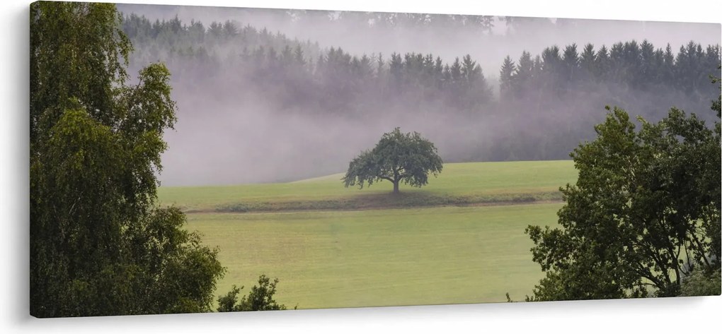 Egy kép a rétről egy fával (120x50 cm)