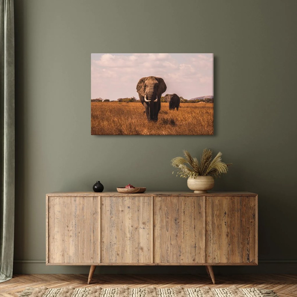 Kép - Az elefánt érkezése (90x60 cm)
