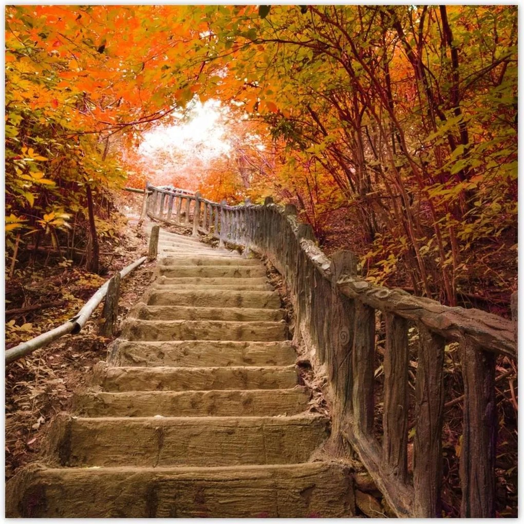 Poszterek 100x100 Őszi séta Lépcsők