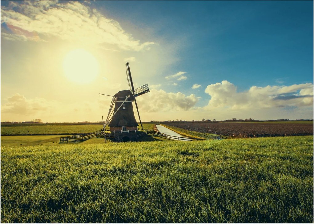 Kép - Szélmalom (70x50 cm)