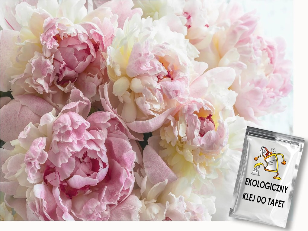 Fotótapéta Flizelina Természet Bazsarózsa Peonie Virágok Rózsaszín Fehér 400x280 ragasztó