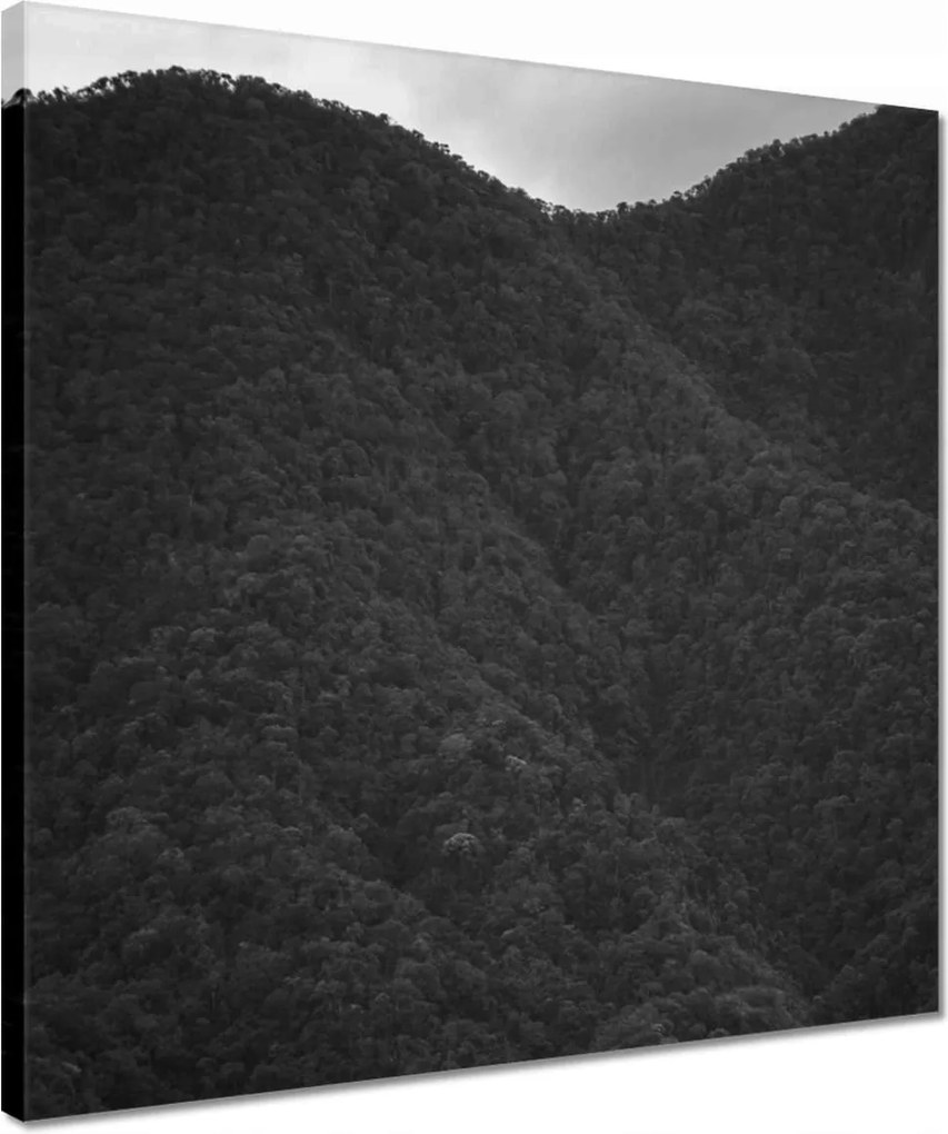 Vászonkép 40x40 Kilátás hegy nap erdő