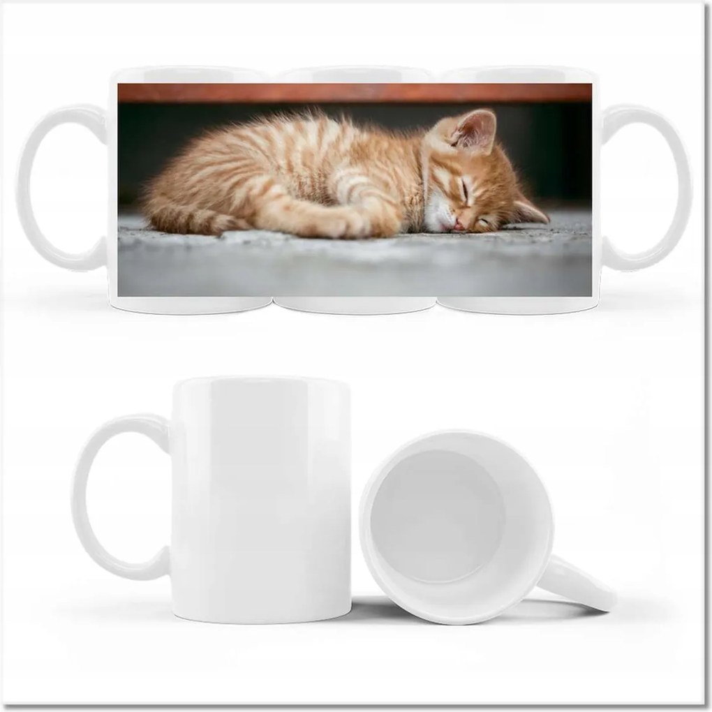 Cica-macska szépség fényképes bögre