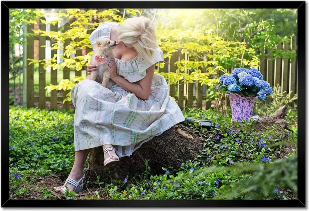 Poszterek keretben 60x40 Kutya Kutyák