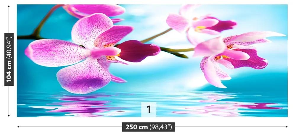 Fotótapéta orchidea Víz 104x70 cm