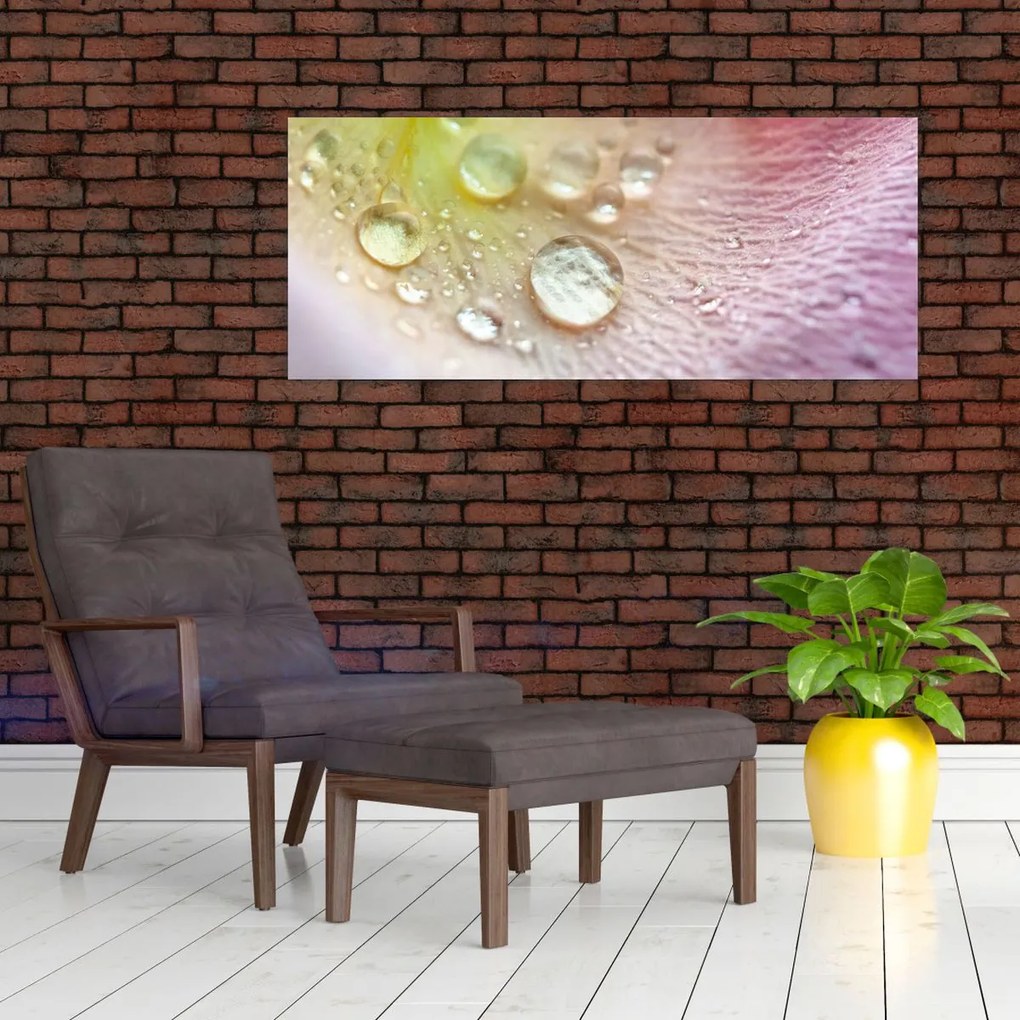 Kép - Harmatcseppek (120x50 cm)